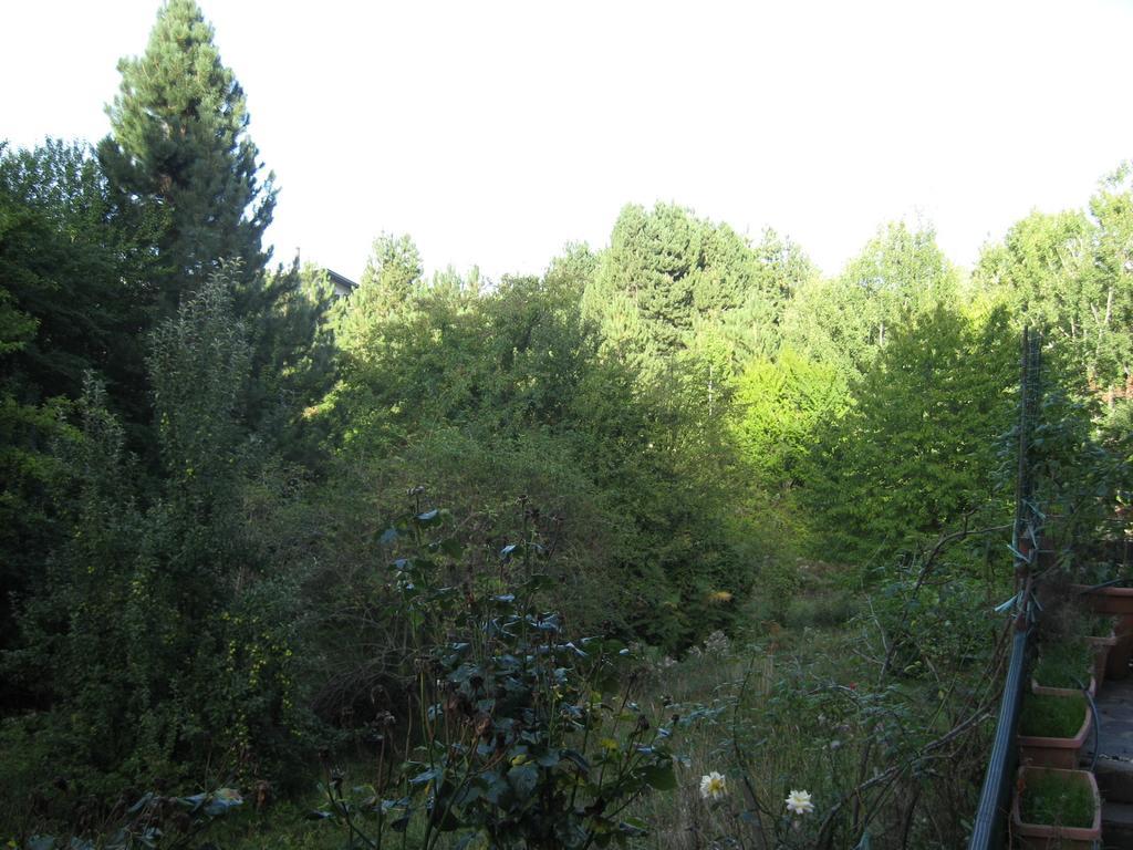Ferienwohnung Le Tre Rose Montagna Camigliatello Silano Zimmer foto